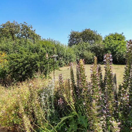 Hops Cottage Ashbourne  Esterno foto